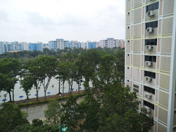 Blk 531 Pasir Ris Drive 1 (Pasir Ris), HDB Executive #208933871